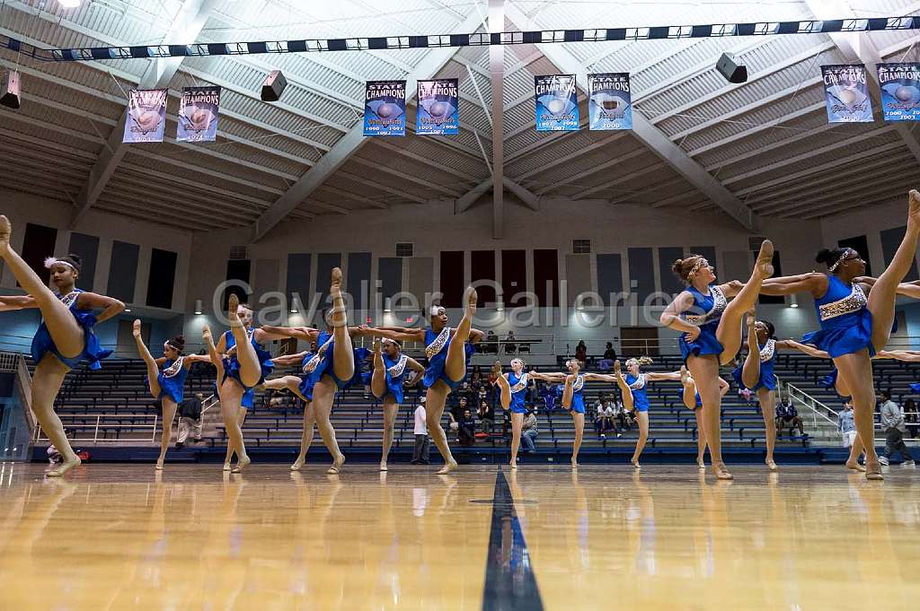 Blue Belles Halftime 51.jpg